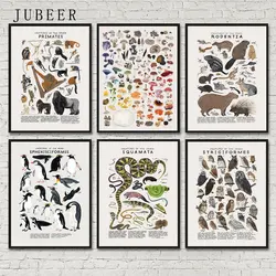 Retro Poster Science Animal Classification Education Wall Art Print Retro Picture Canvas Painting for Living Room Decoration