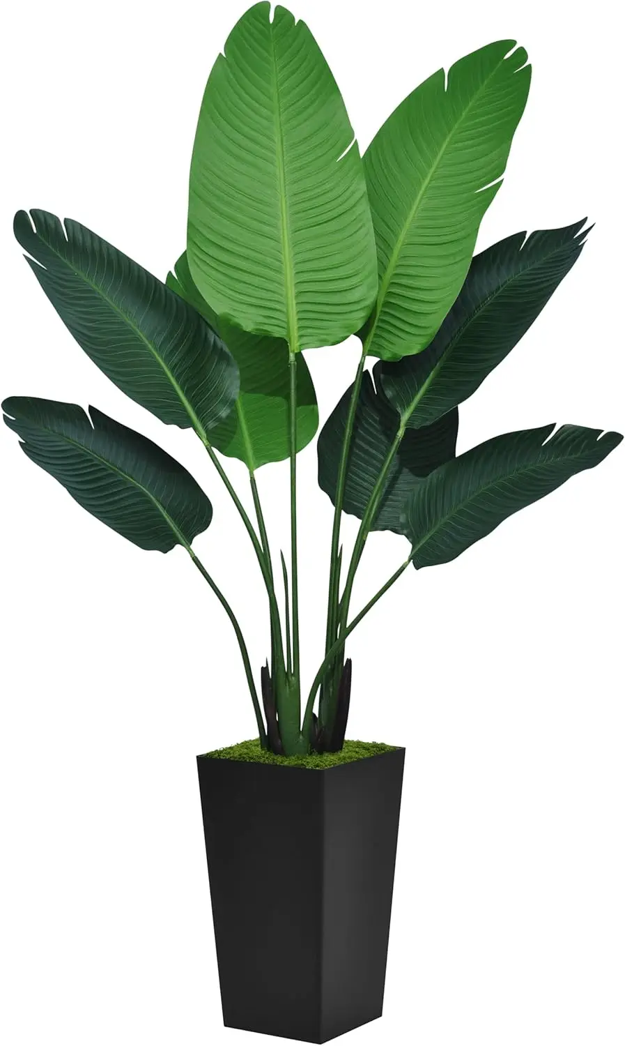 

Bird Of Paradise Artificial Plant 5Ft - Faux Tropical Palm Tree With Black Tall Planter - Fake Floor Plant In Pot - Artificial