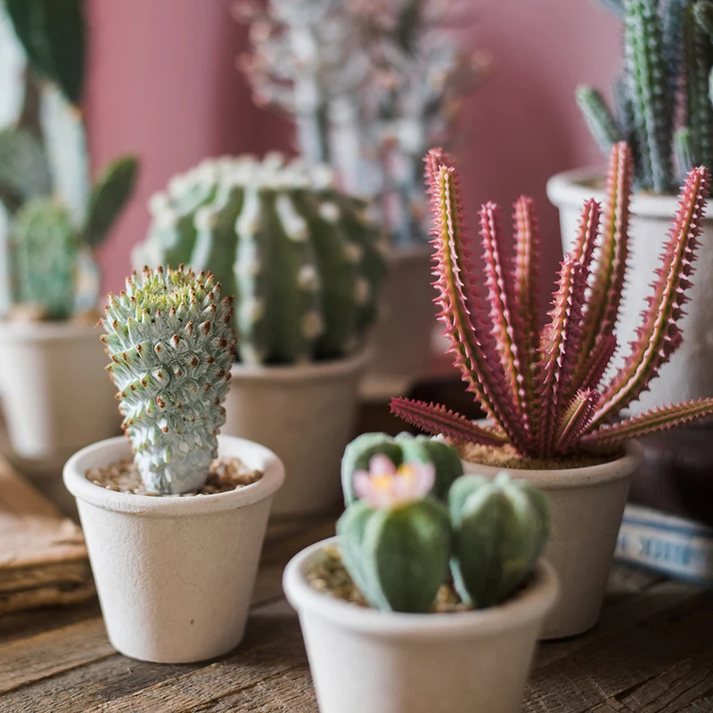 Plantas artificiales de Cactus bonsái, plantas falsas con maceta, adornos en maceta para sala de estar, dormitorio, accesorios para el hogar, decoración