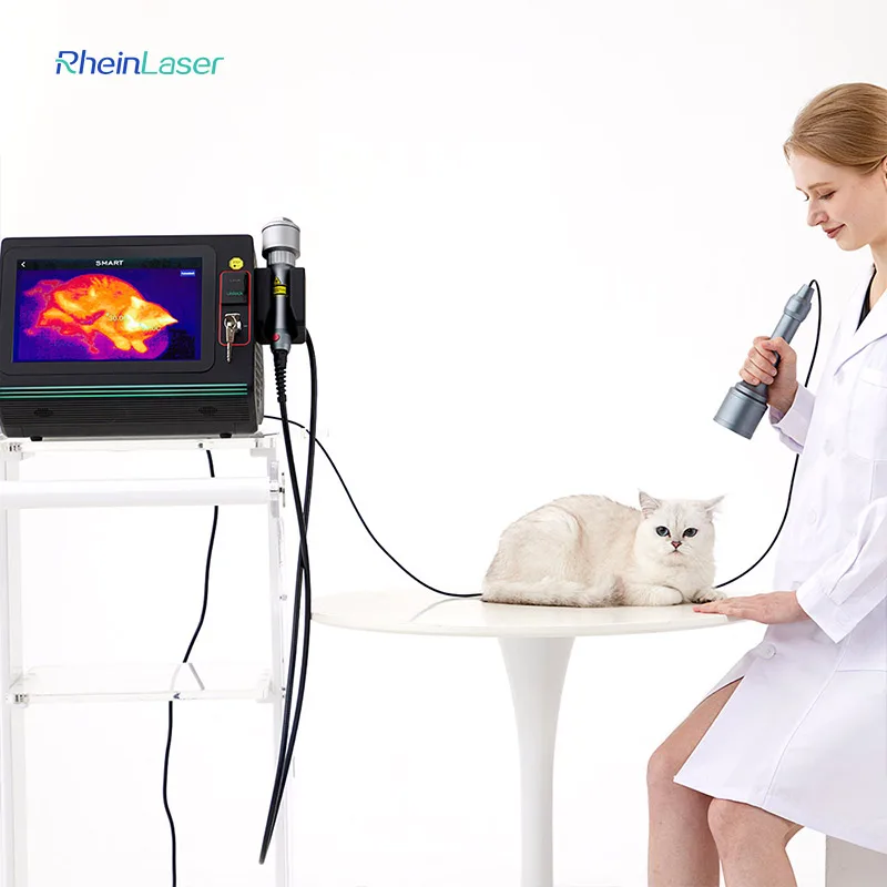 2026 Hot Selling Smart ICE Class 4 Animal Therapy Machine 30w/45w/60w Quad Wavelength for Vet Clinics Use