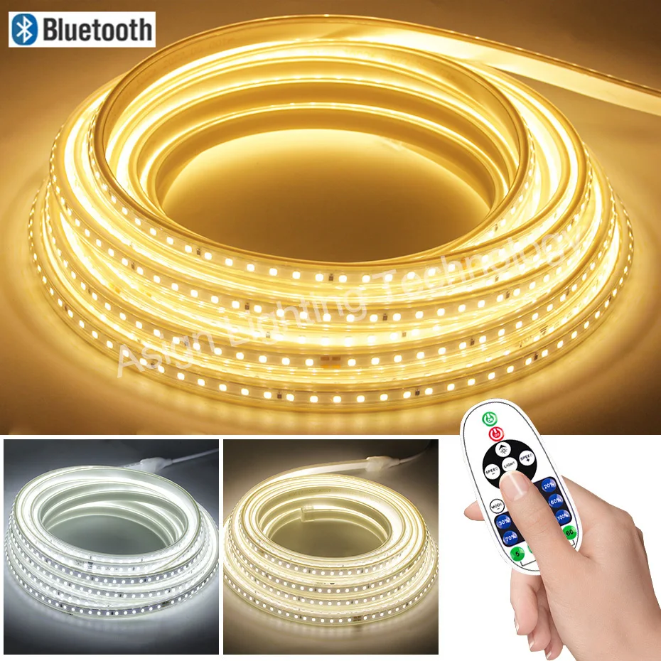 

High Brightness 220V LED Strip Light SMD2835 120LEDs/M Neon Lamp Waterproof Flexible Ribbon Remote Control Dimmable with EU Plug