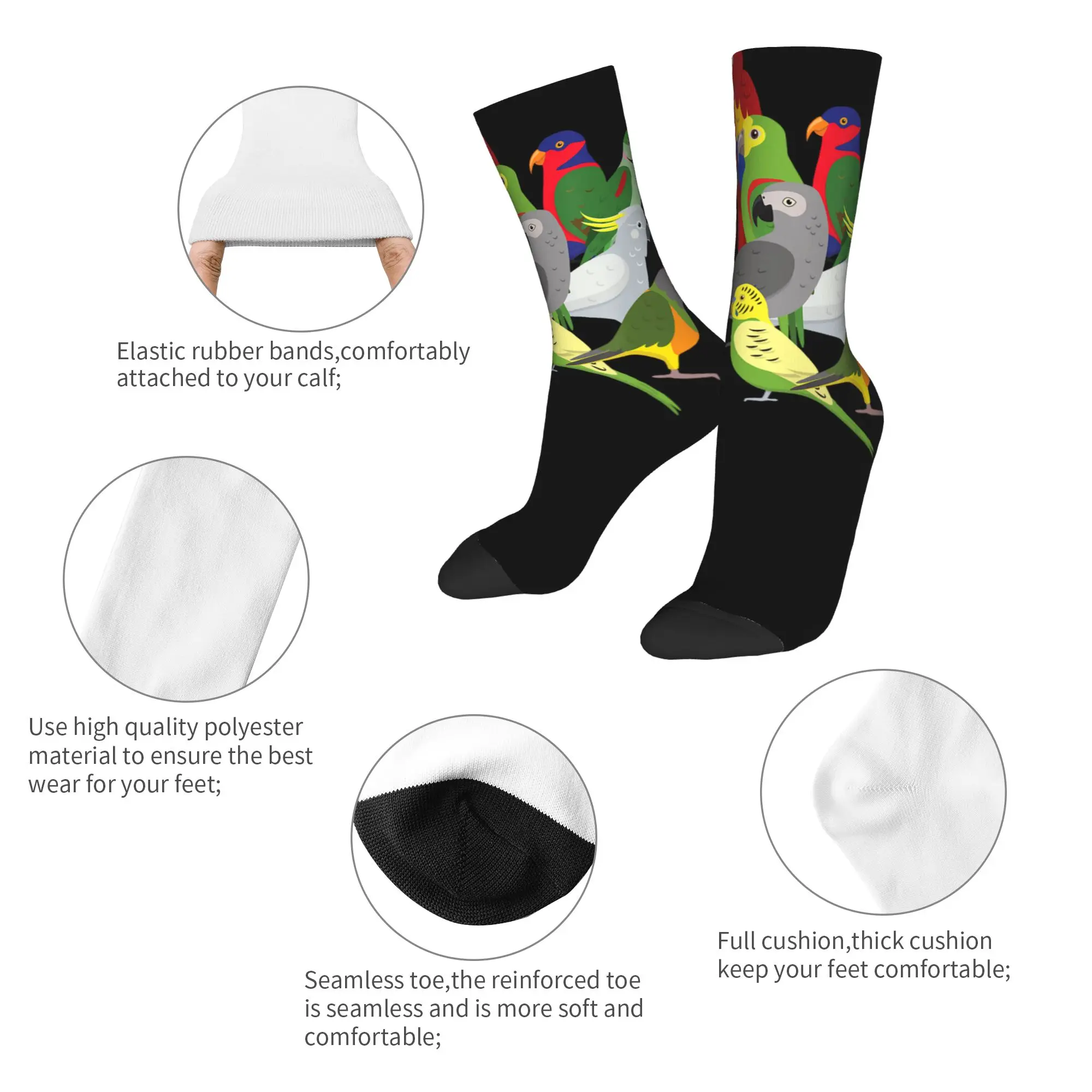 Fashion Parrots Bird Guide Different Parrot Species of The World Pet Basketball Socks  Polyester Middle Tube Socks for Unisex