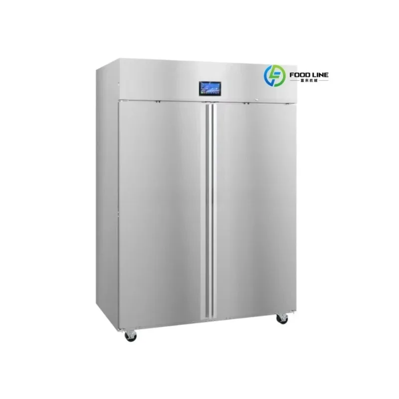 2026 New FL Capacity Fast Food Restaurant  Chicken and Beef Low-temperature Defrosting Cabinets Thawing Cabinet Customized