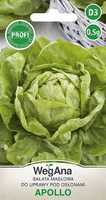 Salata Apollo 0.5g WegAna vegetable lettuce seeds