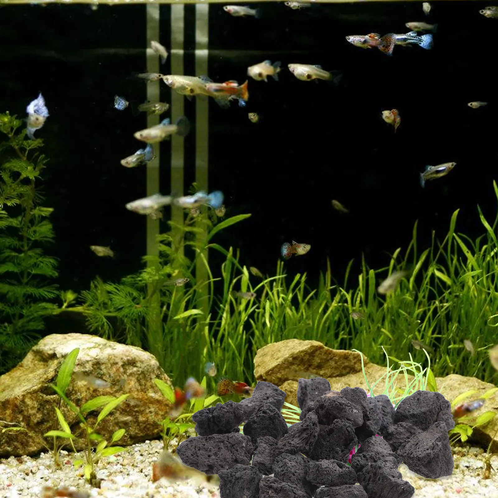 Planted Aquarium With Rocks - 1Pack Natural Volcanic Stone for Fish