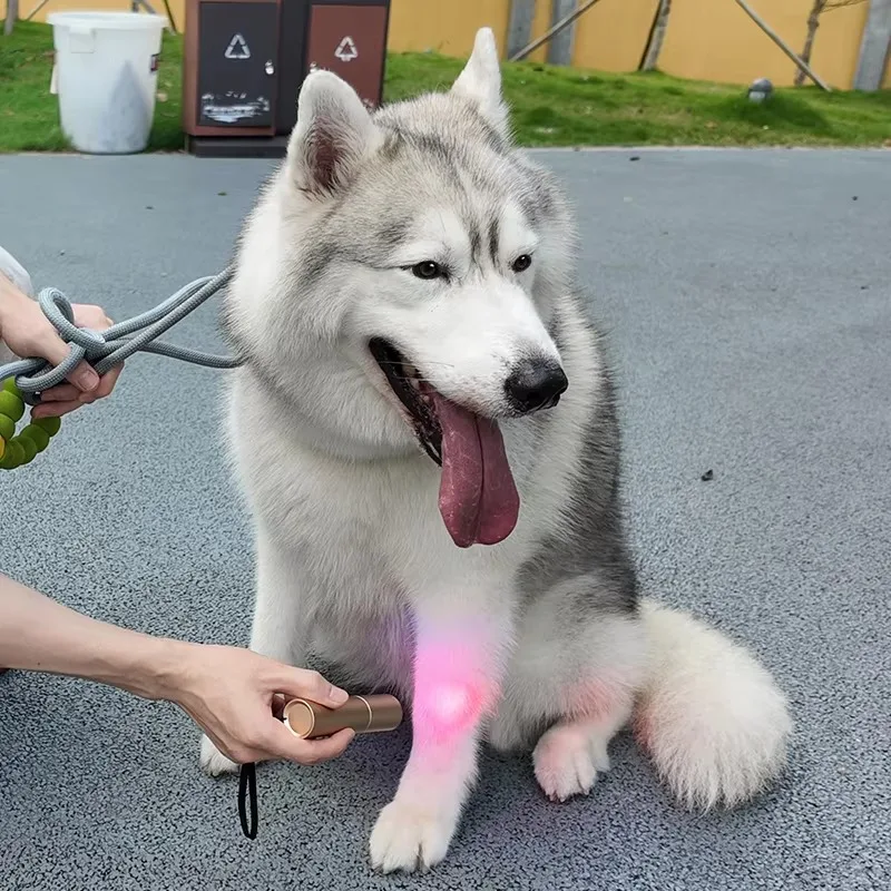 Red Light Therapy Pets Device Blue Light Near Infrared Dog Therapy Torch