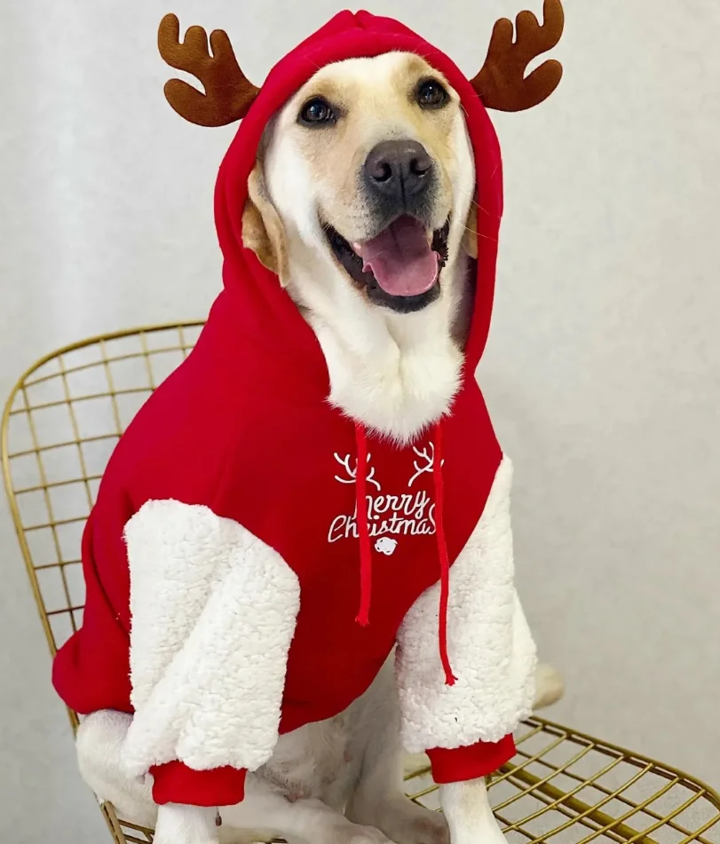 

Pet Dog Clothes Winter Warm Cotton Fleece Christmas Fawn Sweatshirt Large Dog Golden Retriever Labrador