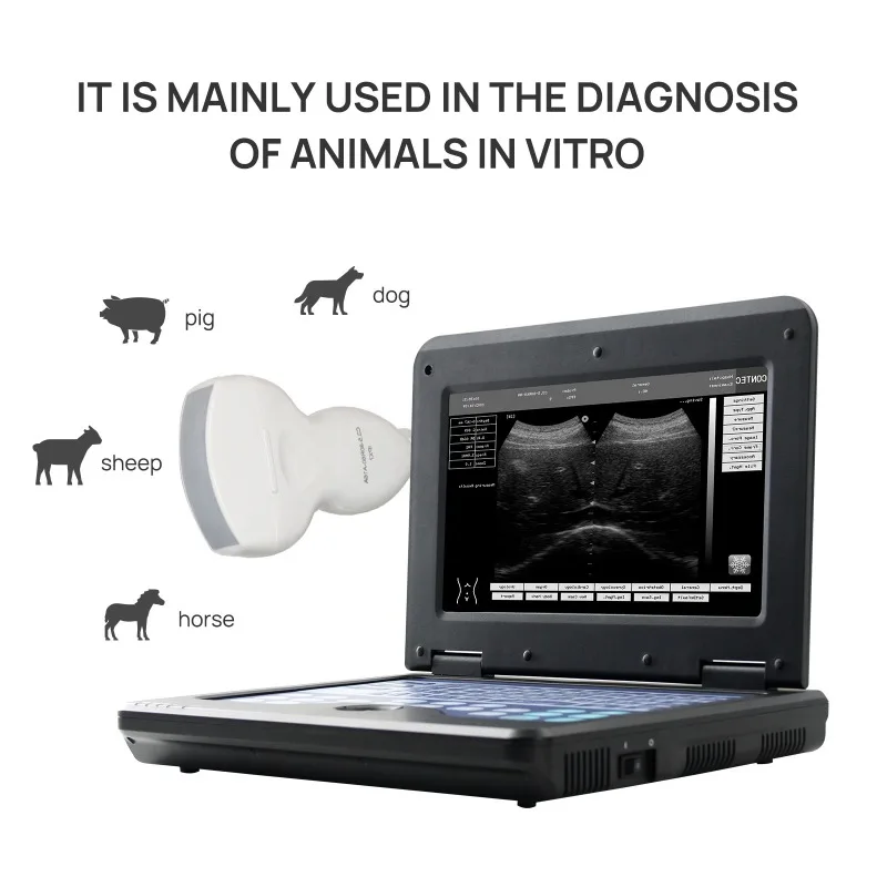 2026 Veterinary B/w Ultrasound Scanner Usg for Farm Vet Clinic Hospital Animal Care and Supplies
