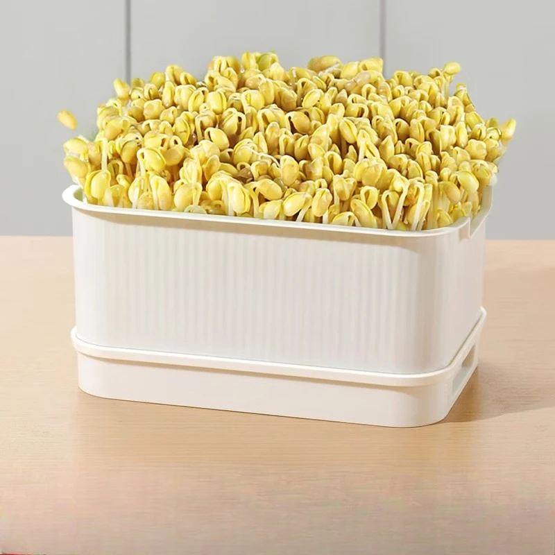 Bean Sprout Growing Tray 23cm Rectangular Water Culture Planter with Divided Base for Mung Beans Seeds Home Kitchen Use 새싹 재배기