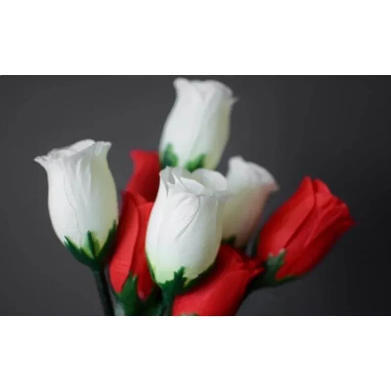 The Fire Rose 2.0 (… - image