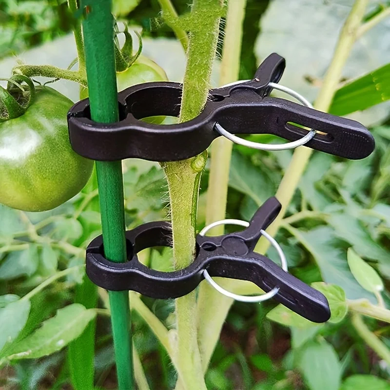 36 Pack Plastic Tomato Vine Clips, Plant Stem Support Clamps for Tomato & Climbing Vegetables Garden Plant Fixing Supplies