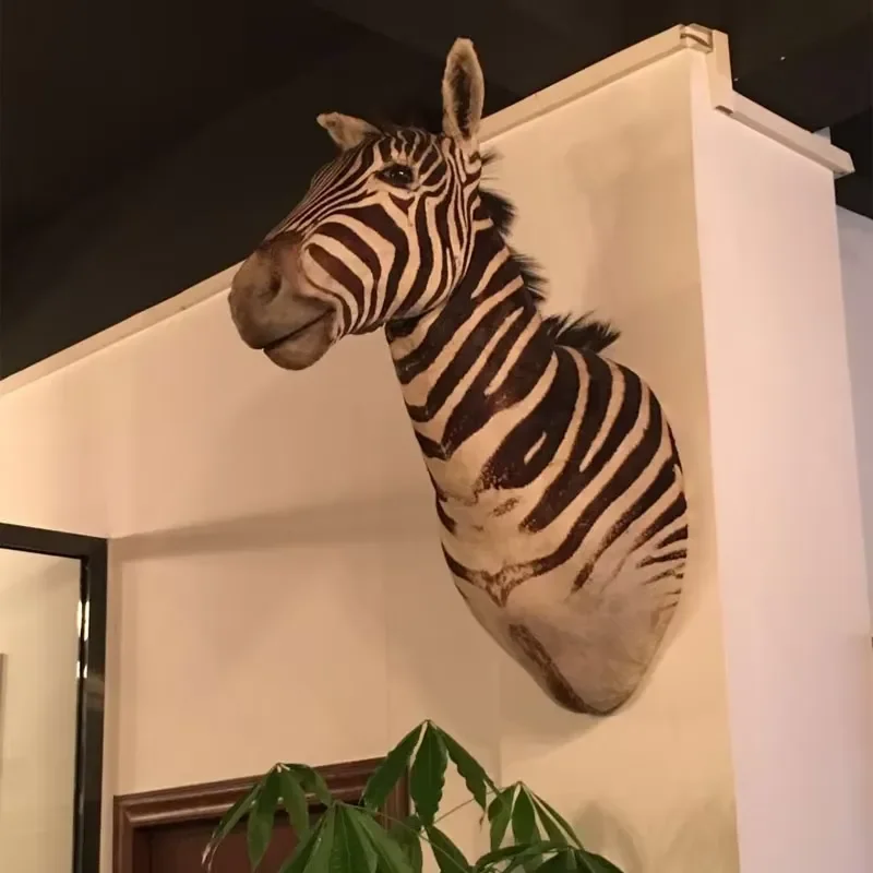 for African Animal Wall Art Zebra Horse Head Sculpture Modern Home Decor Living Room Office Hotel Background Decoration Gift