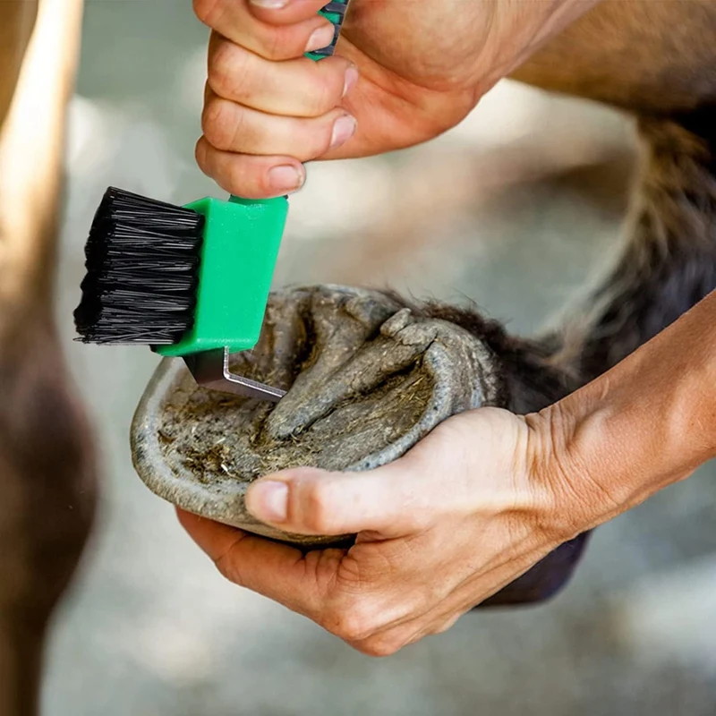 Cavalo Hoof Pick Brush Set com alça longa, gancho portátil, cores aleatórias, durável, fácil de usar, 3 PCs