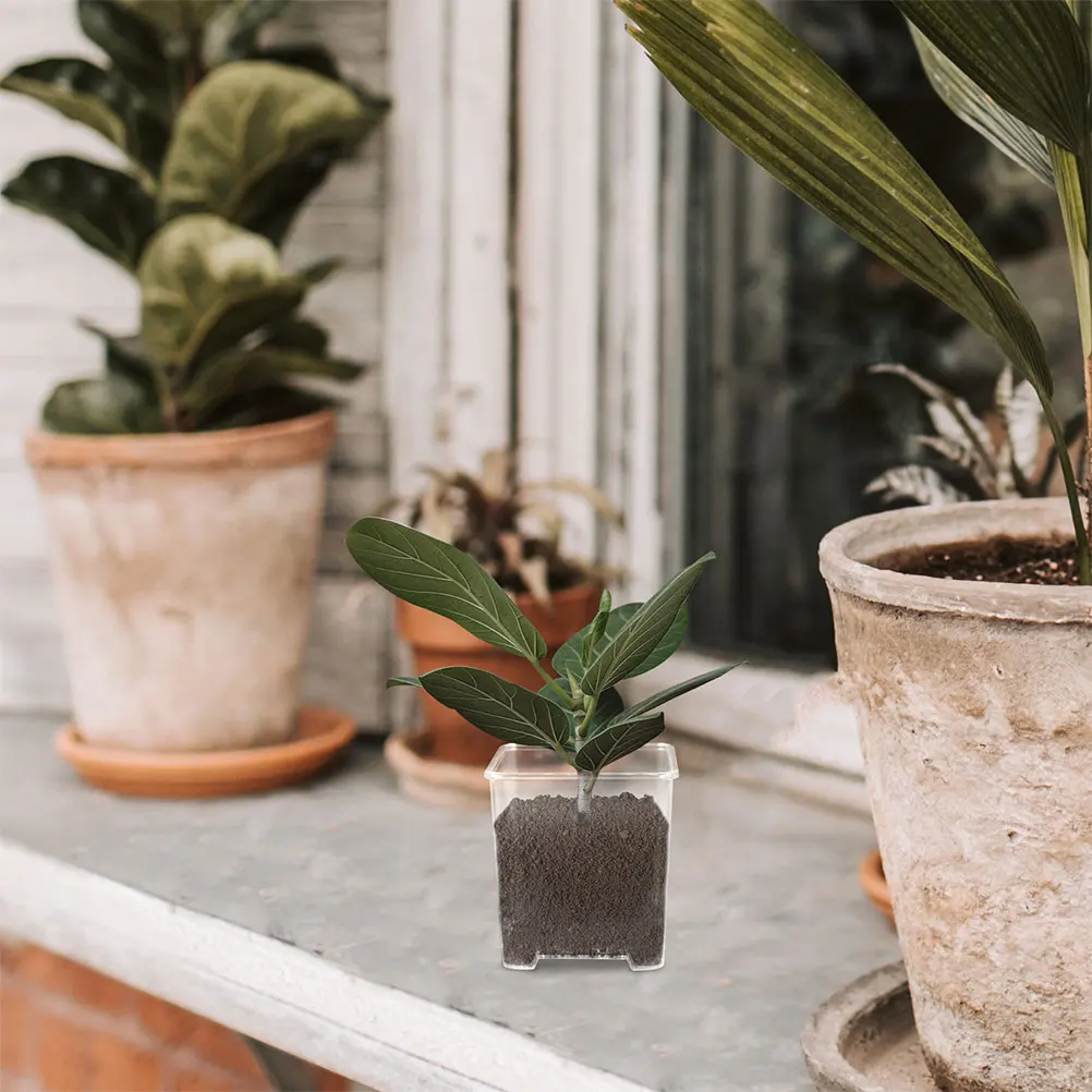 

4Pcs Acrylic Clear Orchid Pots Small Transparent Planters with Drainage Holes for Efficient Root Growth Acrylic Orchid Pot