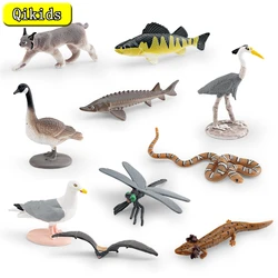 Simulated Wild North American Animal Model Children's Cognitive Salamander Bat Dragonfly water Snake Mountain Cat  Toy