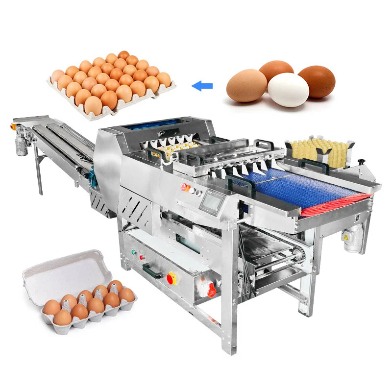 

Commercial Automated Egg Sorting and Pack Machine Customized Chicken Egg Tray Packer Dozen Pack Hot Sale