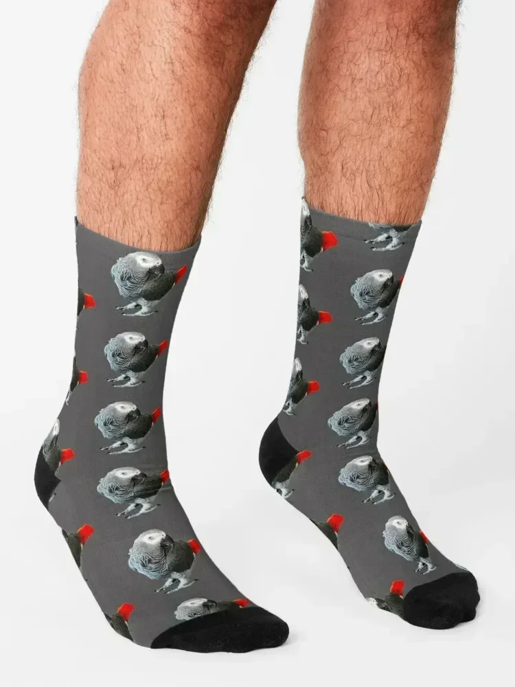 African Grey Parrot Socks kawaii happy funny sock New year's Socks Men's Women's