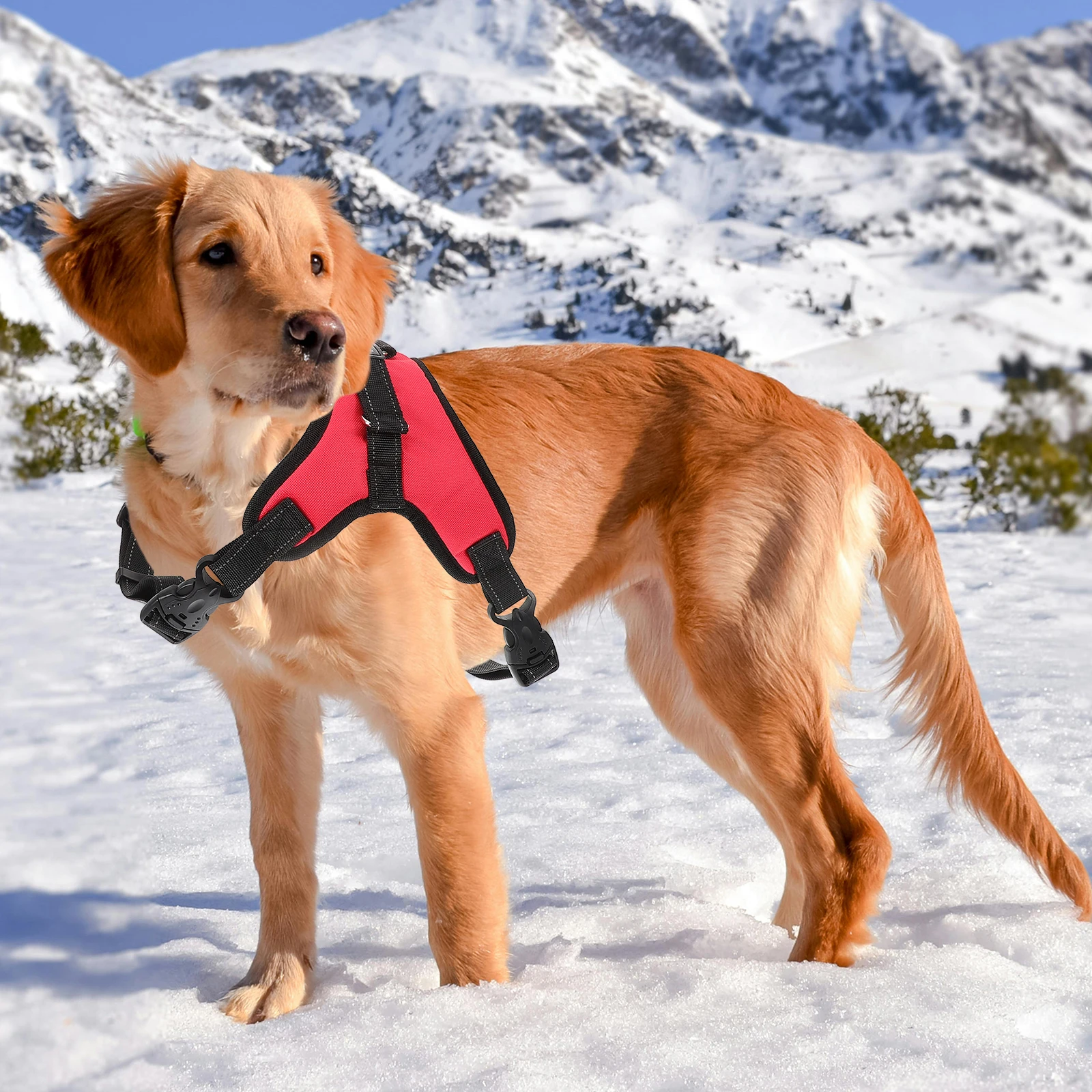 

Style Oxford Cloth Dog For Medium Large Dogs Size L Comfortable Easy Quick Release Buckle Durable Free Movement Puppy