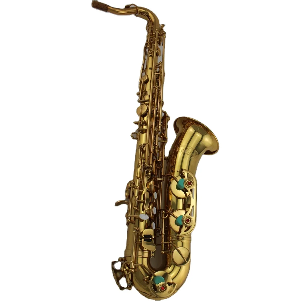

Hooqu High Grade C Key Gold Plated Alto Saxophone