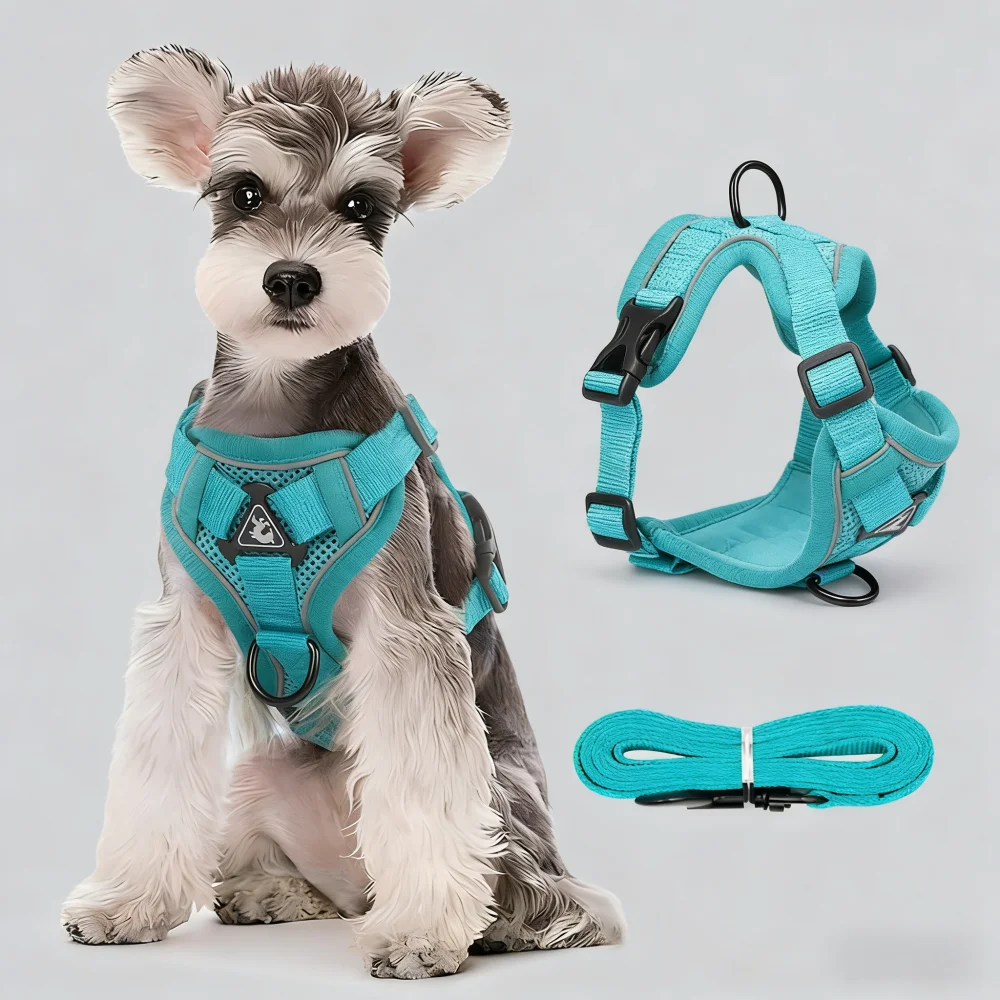 

Adjustable No Pull Dog Harness and Leash Set Pet Harness Vest for Small Dogs Cats Reflective Dog Chest Strap Lead Walking