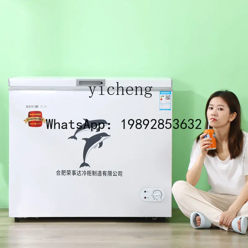 BX  Mini Fridge Household Large Capacity Commercial Freeze Storage Small Freezer mini refrigerator