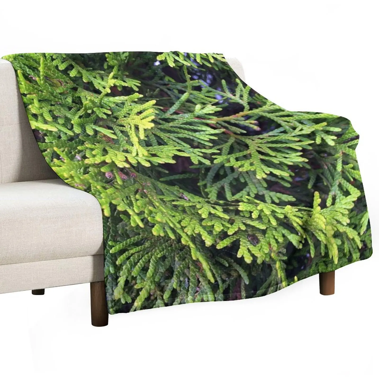 

Cedar Throw Blanket Luxury Brand anime Decoratives Vintage Blankets