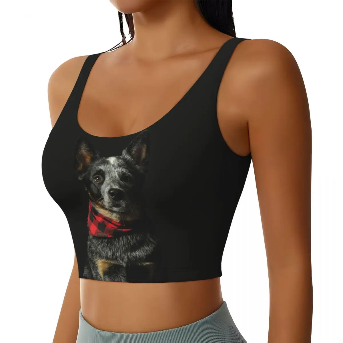 

Custom Australian Cattle Dog Women Sports Bra High Impact Vest Gym Workout Yoga Crop Tank Top