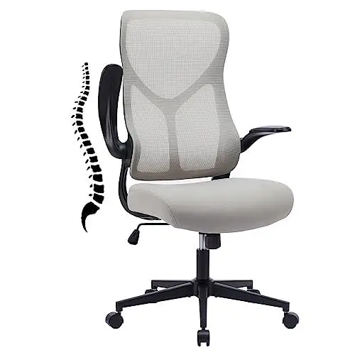 

e Office Chair, Ergonomic Desk Chair Compuive Home Office Chair with Flip-up Armrests, Lumbar Support, Backrest for Home Office