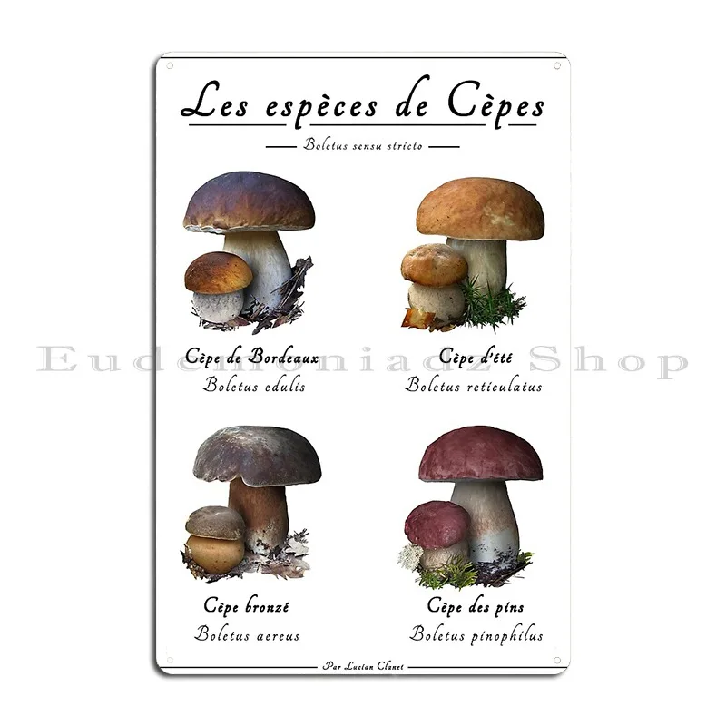 The Species Of Ceps The Four Noble Boletus Bolets Europe Metal Sign Wall Mural Wall Cave Create Garage Rusty Tin Sign Poster