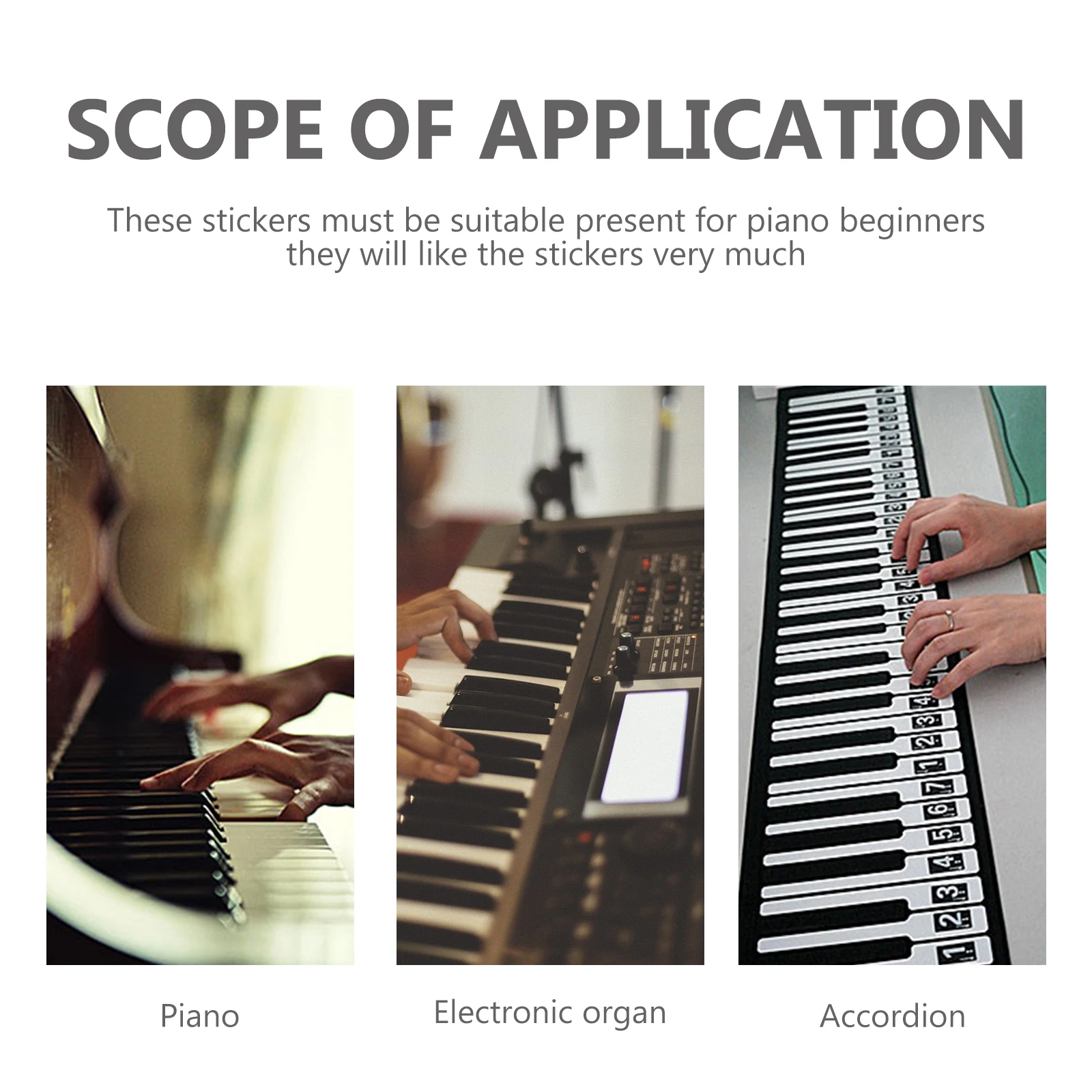 

2 Sheets Digital Keyboard Stickers Transparent Piano Learning Supplies for Numbered