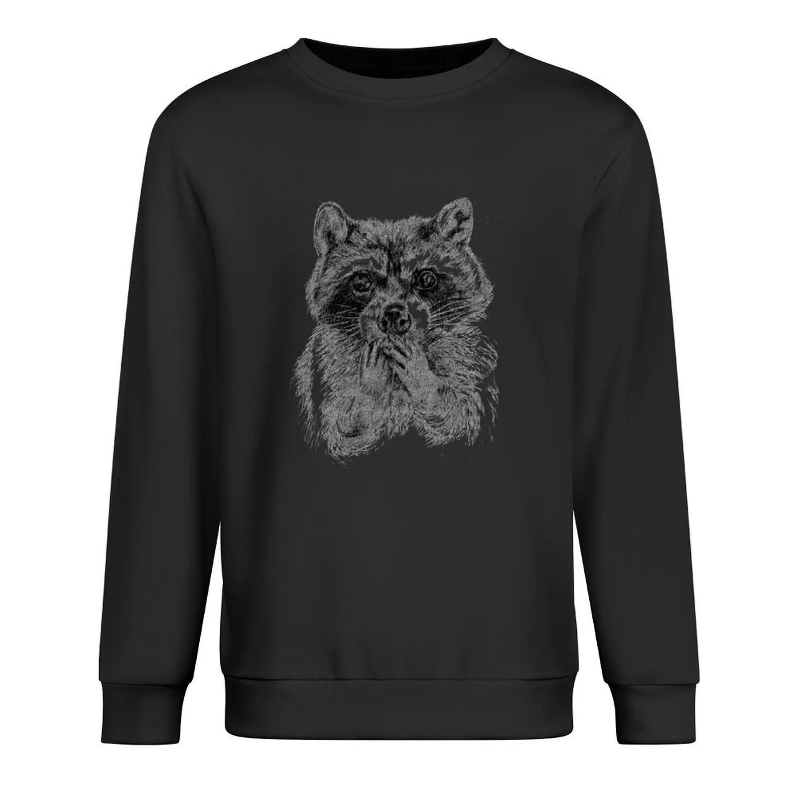 

Surprised raccoon Pullover aesthetic clothing autumn anime clothes mens clothing hoody
