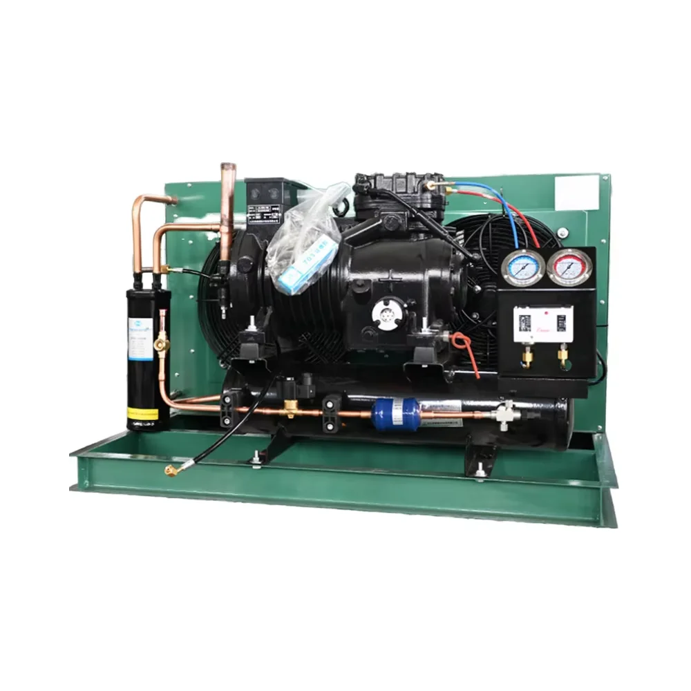 8HP Energy Saving Refrigerator Heat Exchange Equipment Cooler Cold Storage Freezer Copeland Condensing Unit with Motor