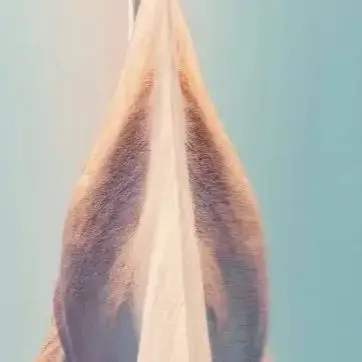 

For Haiba 52V Portable Battery 10Ah/15Ah/20Ah 500W Lithium Battery Pack with Aluminum Case Anti-theft Lock