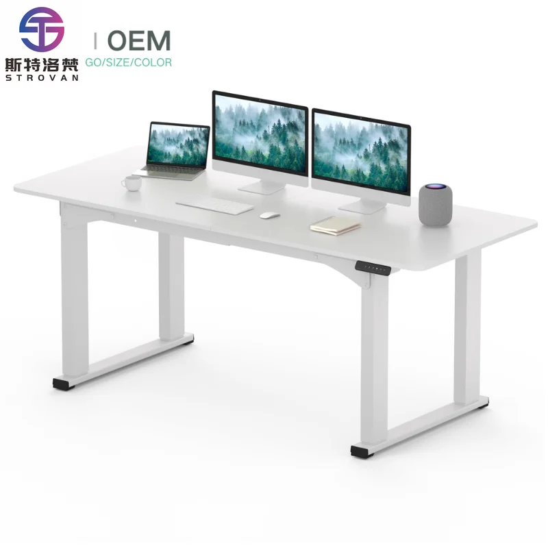 2 Stage Economical Office Furniture Automatic Electric Height Adjustable Standing Desk Dual Motor Sit Stand Desk Frame