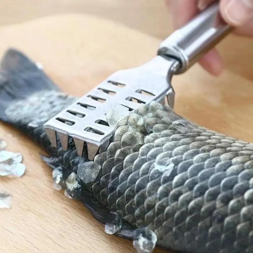 1 Pcs Stainless Steel Fish Scale Scraper Kitchen Artifact 2-in-1 Shrimp Thread Knife Intestines Fish Scale Scraper