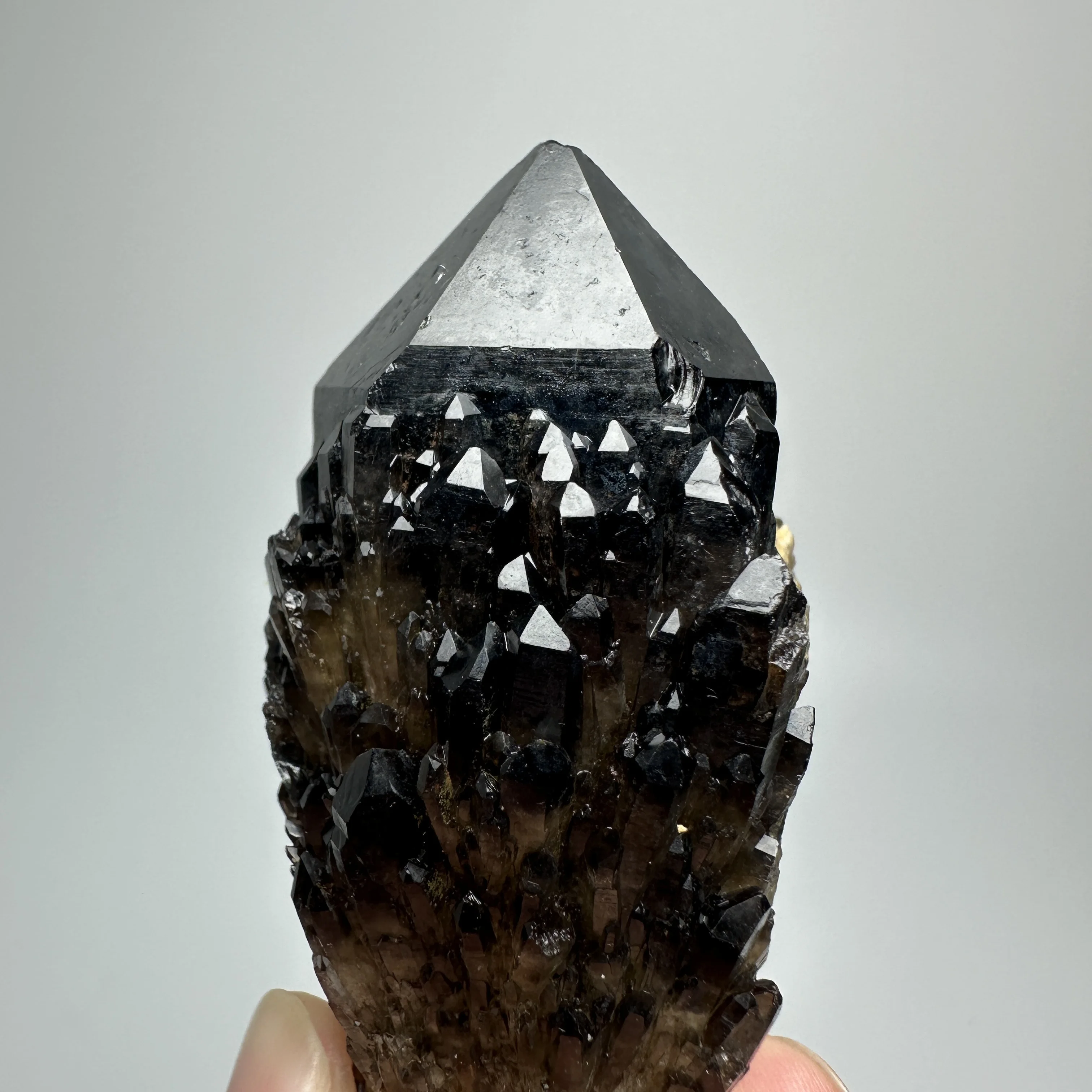 Natural Black Tea Crystal Pineapple Cluster Mineral Specimen Rock Decorative Quartz Healing Stone