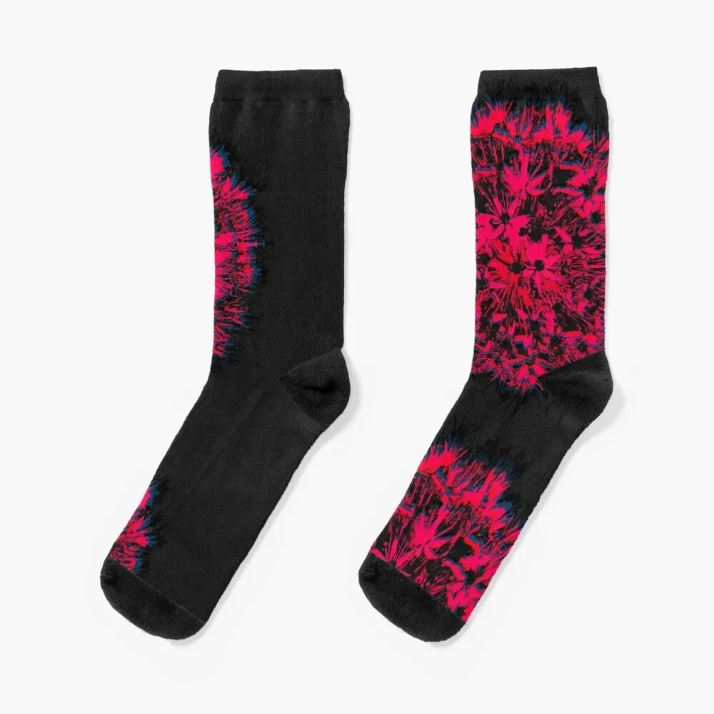 Pink & Blue Allium on black Socks anime hiphop ankle with print Women's Socks Men's