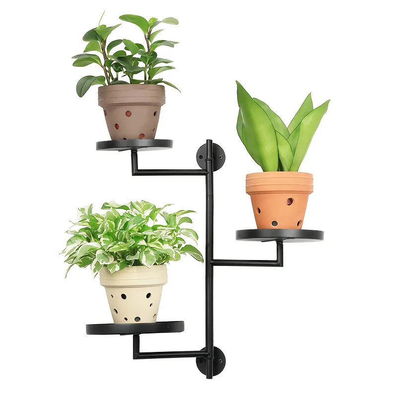 

Windows, Plant Racks, Indoor Rotating Racks, Wrought Iron Walls, Multi-layer Decorative Display Racks