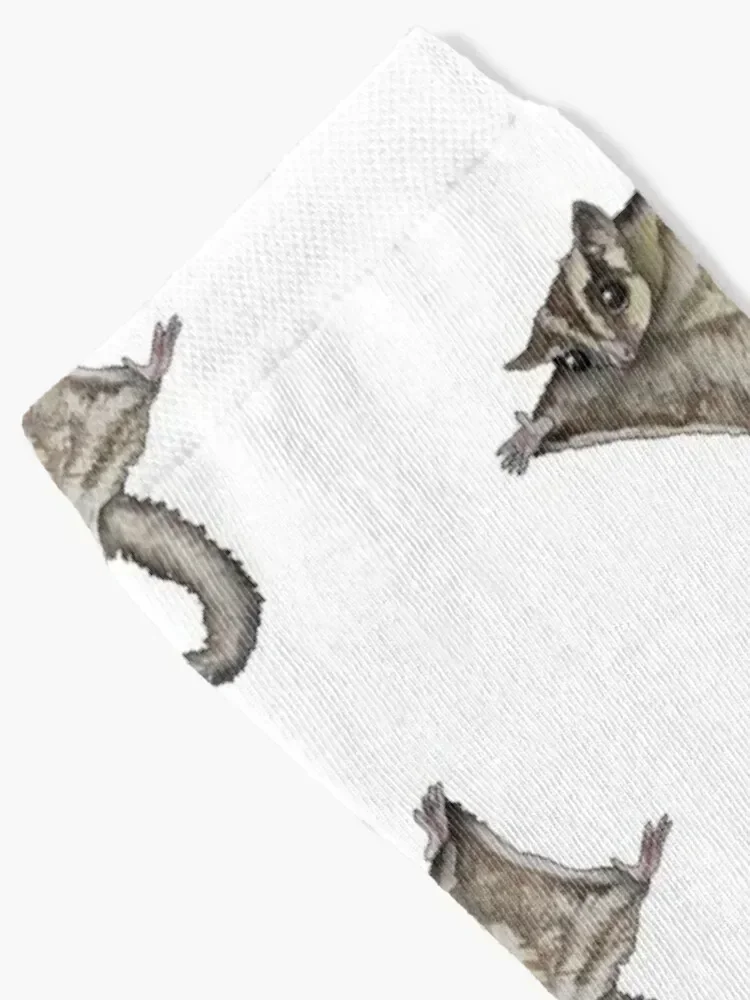 Flying Sugar Glider Socks christmas stocking funny sock Socks Women Men's