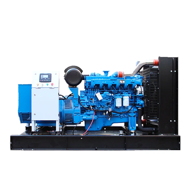 200kW Generator Set Parts Accessories Low Cost of 250kVA DG Set Engineered Maintenance with YC6MK350L-D20 Engine