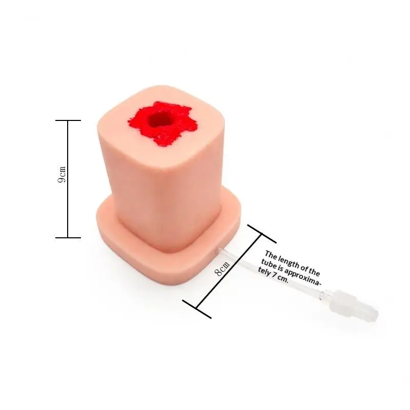 Wound Packing Task Trainer Bleed Control Tourniquet Trainer Basic Gunshot Wound Packing Trainer For Nurse Medical Education view 3