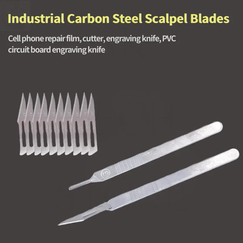 Lame per bisturi industriali in acciaio al carbonio, manico in acciaio inossidabile, bisturi per anatomia biologica, pratica di taglio e scolpire
