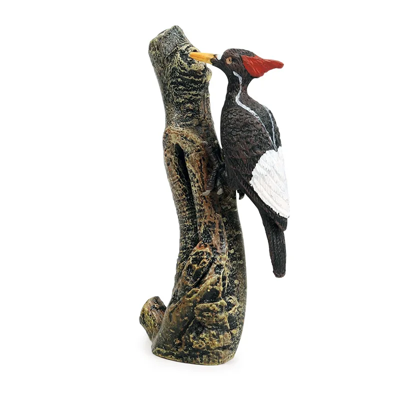 

Children's cross-border simulation wildlife toy model birds ornaments Mexican Emperor Woodpecker model