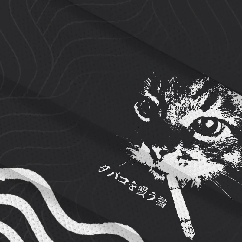 Street Trendy Retro Funny Raccoon Cat 3D Printing Casual Sports Breathable Training Men and Women Daily Shorts