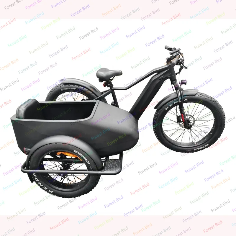 750w ukryta bateria litowa Etrike wózek boczny rower boczny samochód dla dorosłych elektryczny rower trójkołowy 3 koła Ebike elektryczny ładunek