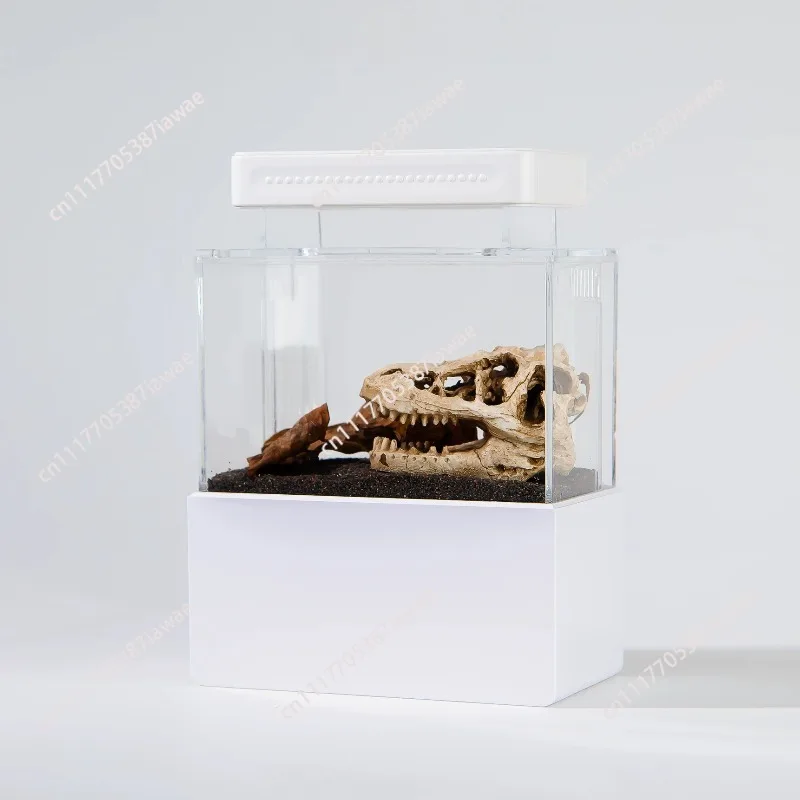 Desktop small mini bucket fish tank ecological cycle Jurassic landscaping fish tank micro landscape fish tank