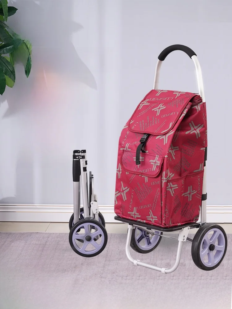 carrello-della-spesa-pieghevole-portatile-in-lega-di-alluminio-di-grande-capacita-per-uso-domestico-per-la-spesa-di-verdure-e-per-anziani