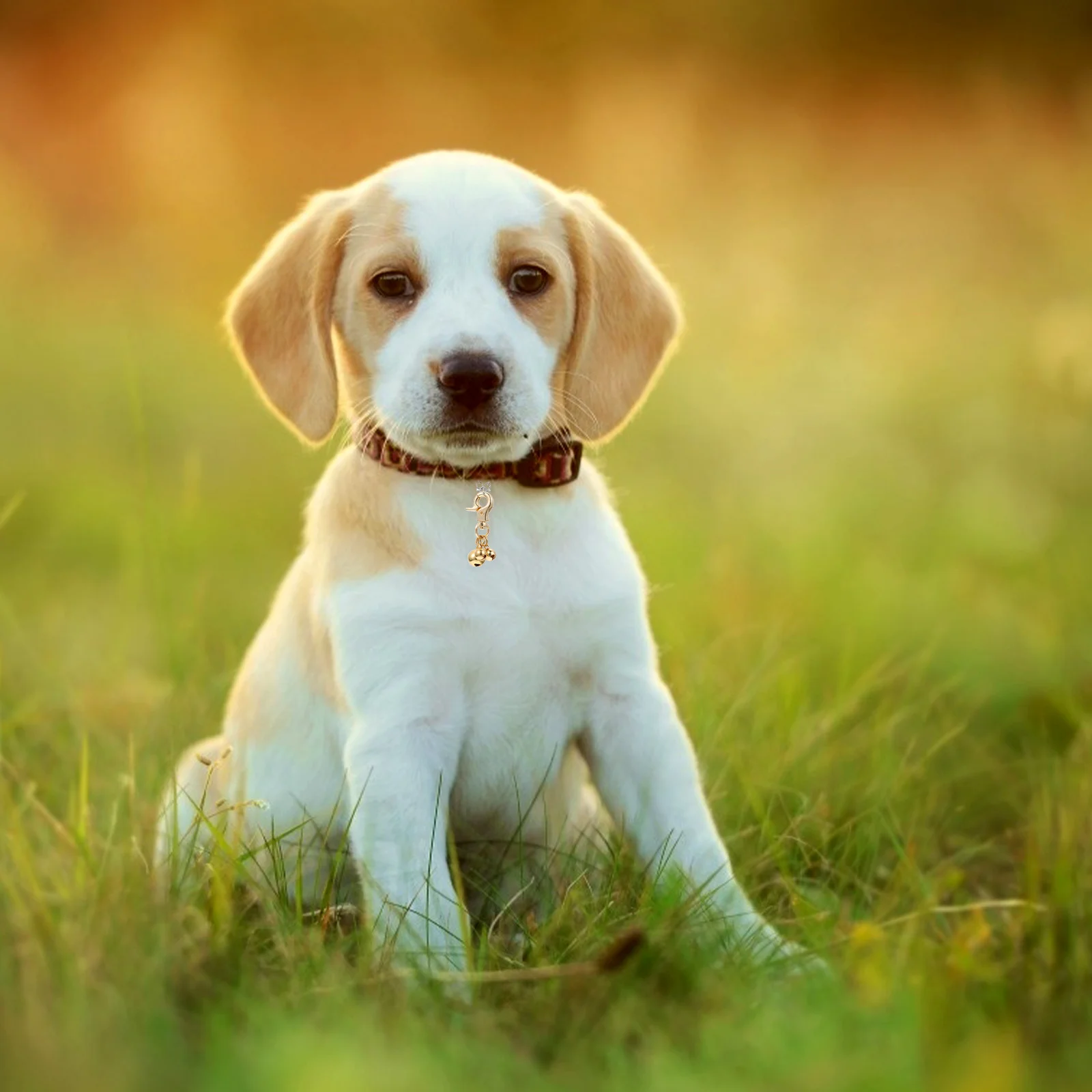 

4pcs Cat Bell Keychain Zinc Alloy Metal Pendant For Pet Collar Dog Key Ring Decorative Hanging Accessory Vintage Diy Bells