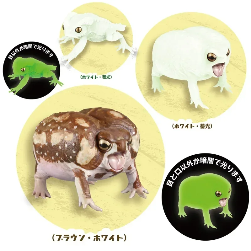 SO-TA Kawaii 1/1 Animal Replica Reptiles Models Mantou Frog Anime Figure Cute Capsule Toys Gift