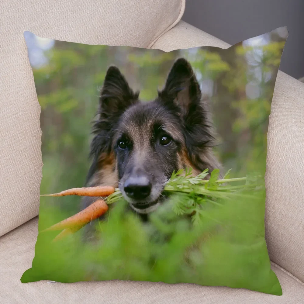 Funda De Almohada P… - image